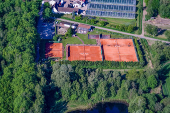 Tennis court at Bienwald in Steinfeld in the state Rhineland-Palatinate, Germany