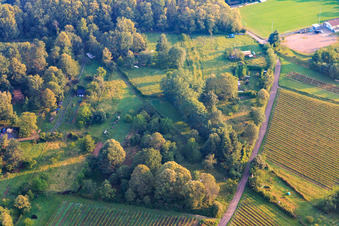 Garden at the edge of the forest in Dörrenbach in the state Rhineland-Palatinate, Germany