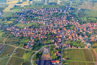 Wine-growing village from the north in Oberotterbach in the state Rhineland-Palatinate, Germany