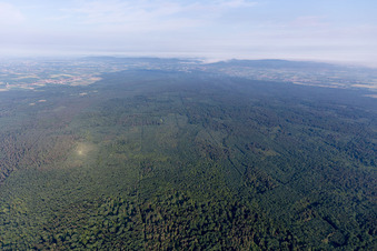 Drone recording of District Schaidt in Wörth am Rhein in the state Rhineland-Palatinate, Germany