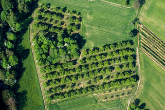 Drone recording of Wissembourg in the state Bas-Rhin, France