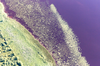 Bird's eye view of Torne in the state Kronoberg, Sweden