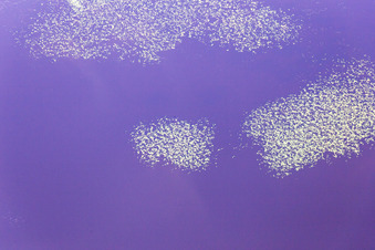 Hunna in the state Kronoberg, Sweden from the plane