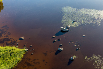 Bay with water lillies in swamp coloured Asnen lake near Hunna in Smaland in Kronobergs laen, Sweden