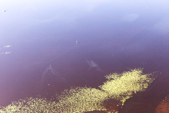 Bird's eye view of Odensjö in the state Kronoberg, Sweden