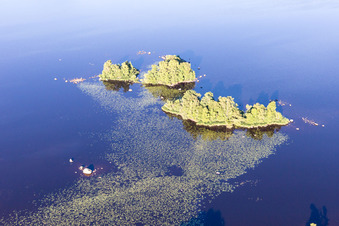 Drone image of Skäggalösa in the state Kronoberg, Sweden