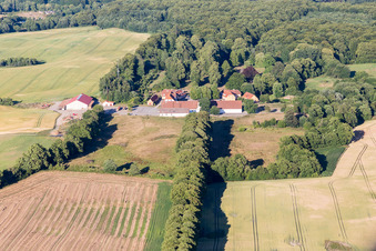 Aerial view of Klintholm Mon (DK), Klintholm Gods in Borre in the state Zealand, Denmark