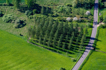 Rothbach in the state Bas-Rhin, France seen from above
