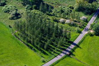Rothbach in the state Bas-Rhin, France from the plane
