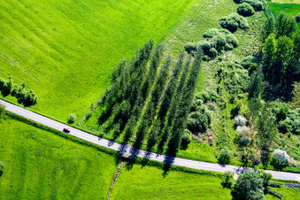 Bird's eye view of Rothbach in the state Bas-Rhin, France