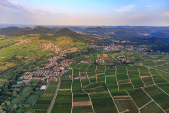 View of the town from the east in Siebeldingen in the state Rhineland-Palatinate, Germany