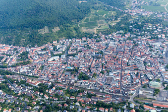 Neustadt an der Weinstraße in the state Rhineland-Palatinate, Germany viewn from the air