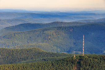 Aerial view of Transmission mast on the Weinbiet in the district Haardt in Neustadt an der Weinstraße in the state Rhineland-Palatinate, Germany