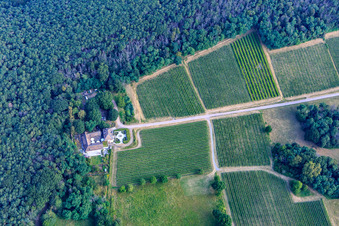 Aerial view of Odinstal Winery in Wachenheim an der Weinstraße in the state Rhineland-Palatinate, Germany