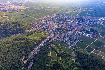 View of the town from the southwest in Wachenheim an der Weinstraße in the state Rhineland-Palatinate, Germany