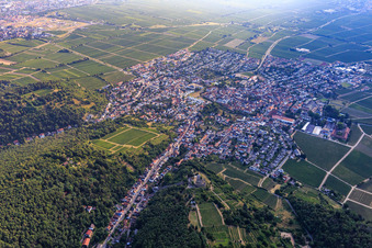 Aerial view of View of the town from the southwest in Wachenheim an der Weinstraße in the state Rhineland-Palatinate, Germany