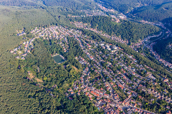 Hammelstalstr in the district Seebach in Bad Dürkheim in the state Rhineland-Palatinate, Germany