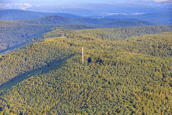 Transmission mast on the Weinbiet in Kallstadt in the state Rhineland-Palatinate, Germany