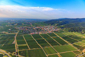 City view from the north in Wachenheim an der Weinstraße in the state Rhineland-Palatinate, Germany