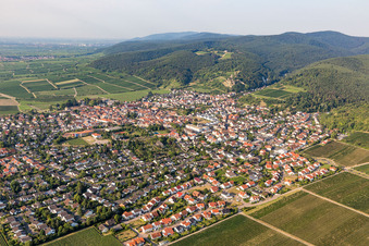 Surrounded by forest and forest areas center of the streets and houses and residential areas in Wachenheim an der Weinstrasse in the state Rhineland-Palatinate, Germany