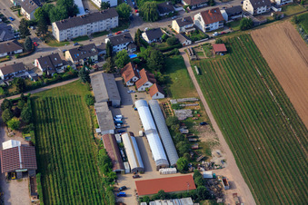 Kugelmann organic farm in Kandel in the state Rhineland-Palatinate, Germany out of the air