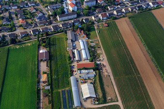 Kugelmann organic farm in Kandel in the state Rhineland-Palatinate, Germany seen from above