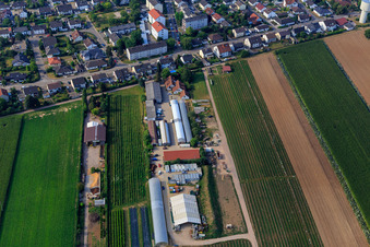Kugelmann organic farm in Kandel in the state Rhineland-Palatinate, Germany from the plane