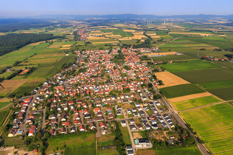 Village view from the east in Minfeld in the state Rhineland-Palatinate, Germany from above