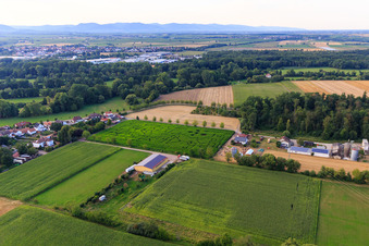 Aerial view of Corn maze at Seehof in Steinweiler in the state Rhineland-Palatinate, Germany