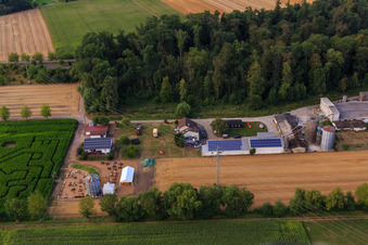 Aerial view of Corn maze, wedding location and beach lounge Seehof in Steinweiler in the state Rhineland-Palatinate, Germany