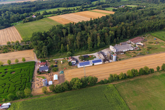 Aerial photograpy of Corn maze, wedding location and beach lounge Seehof in Steinweiler in the state Rhineland-Palatinate, Germany