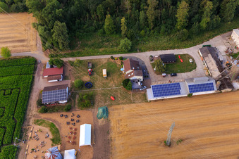Corn maze, wedding location and beach lounge Seehof in Steinweiler in the state Rhineland-Palatinate, Germany from above