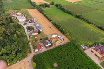 Corn maze, wedding location and beach lounge Seehof in Steinweiler in the state Rhineland-Palatinate, Germany seen from above