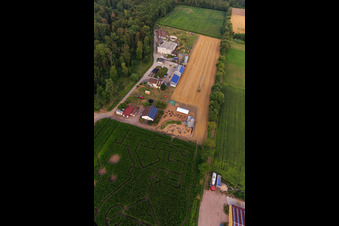 Corn maze, wedding location and beach lounge Seehof in Steinweiler in the state Rhineland-Palatinate, Germany from the plane
