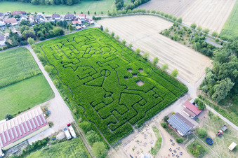 Oblique view of Maze - Labyrinth on a corn-field in Steinweiler in the state Rhineland-Palatinate, Germany