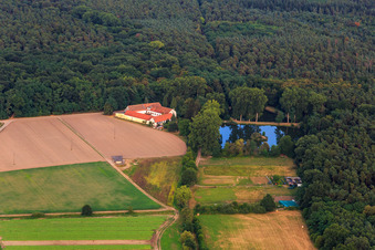 Lachenmühle Lustadt at the edge of the forest in the district Niederlustadt in Lustadt in the state Rhineland-Palatinate, Germany