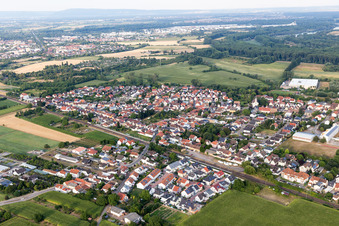 Bird's eye view of District Berghausen in Römerberg in the state Rhineland-Palatinate, Germany
