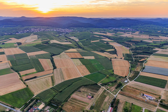 Southern Wine Route from the southeast in the district Rechtenbach in Schweigen-Rechtenbach in the state Rhineland-Palatinate, Germany