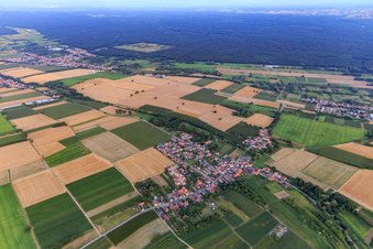 Village overview from the northwest in the district Kleinsteinfeld in Niederotterbach in the state Rhineland-Palatinate, Germany