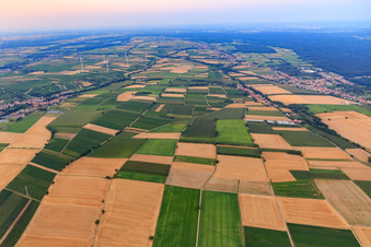 Fields between Dierbach and Schaidt from the west in Vollmersweiler in the state Rhineland-Palatinate, Germany