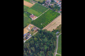 Drone recording of Corn maze, wedding location and beach lounge Seehof in Steinweiler in the state Rhineland-Palatinate, Germany