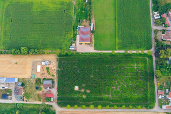 Corn maze, wedding location and beach lounge Seehof in Steinweiler in the state Rhineland-Palatinate, Germany from a drone