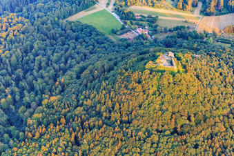 Lindelbrunn Castle Ruins in Vorderweidenthal in the state Rhineland-Palatinate, Germany seen from above