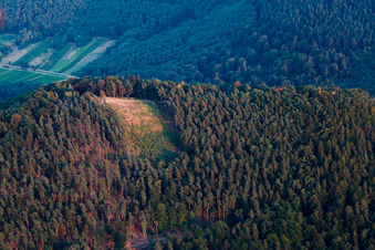 Aerial view of N-starting point at Hohenberg in Birkweiler in the state Rhineland-Palatinate, Germany