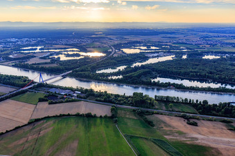 Motorway bridge of the A61 over the Rhine north of Speyer in Hockenheim in the state Baden-Wuerttemberg, Germany