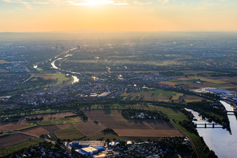 View of the town from the east on the banks of the Neckar in Ilvesheim in the state Baden-Wuerttemberg, Germany