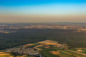 Lampertheim/Hüttenfeld