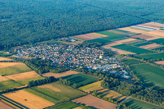 District Hüttenfeld in Lampertheim in the state Hesse, Germany from the plane