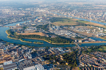 Aerial view of Friesenheim Island in the district Neckarstadt-West in Mannheim in the state Baden-Wuerttemberg, Germany