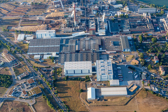 Aerial view of Building and production halls on the premises Essity Mannheim (ZeWa) in the district Sandhofen in Mannheim in the state Baden-Wurttemberg, Germany